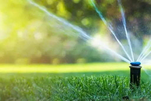 Residential lawn irrigation system running across a landscaped property, illustrating sprinkler coverage and the need for timely irrigation system upgrades.