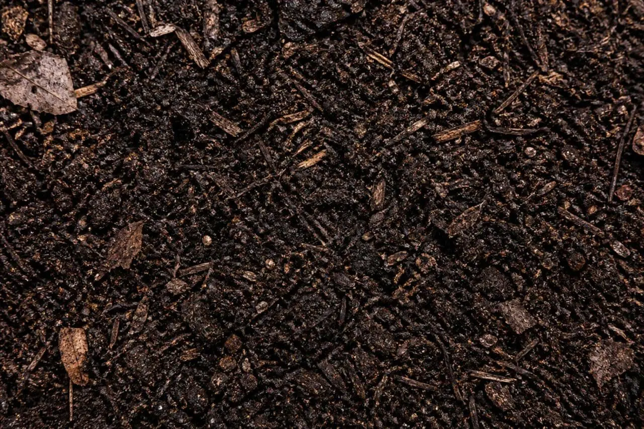 Compost mulch adds a rich, soil-building layer to planting beds, helping improve structure, support moisture retention, and create a clean, natural finish.