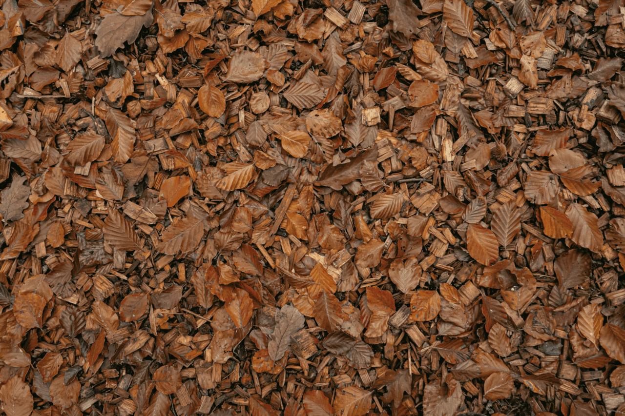 Close-up of leaf mulch in showing shredded brown leaves mixed with small wood chips.