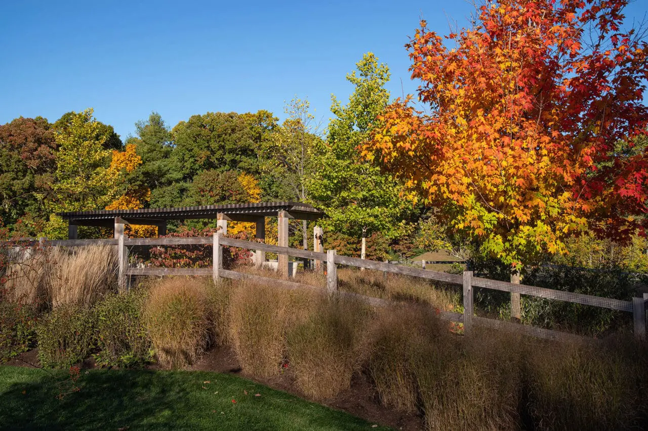 Carlisle, MA - A pergola frames views of ornamental grasses and meadow plantings, celebrating seasonal change and openness. Photo: Michael J. Lee