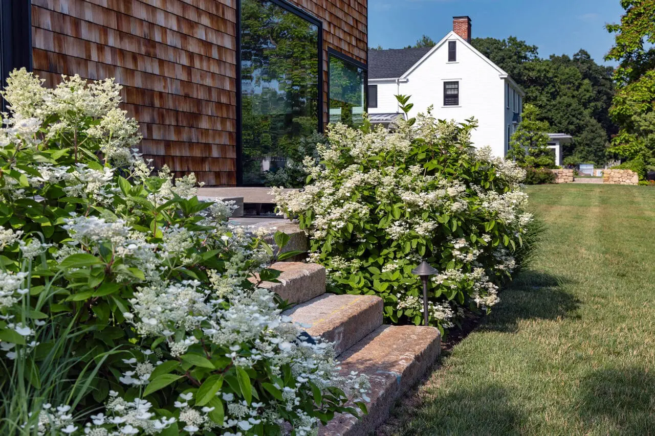 Carlisle, MA - Granite steps and foundation plantings soften the entry, blending architecture with the surrounding garden. Photo: Warren Patterson