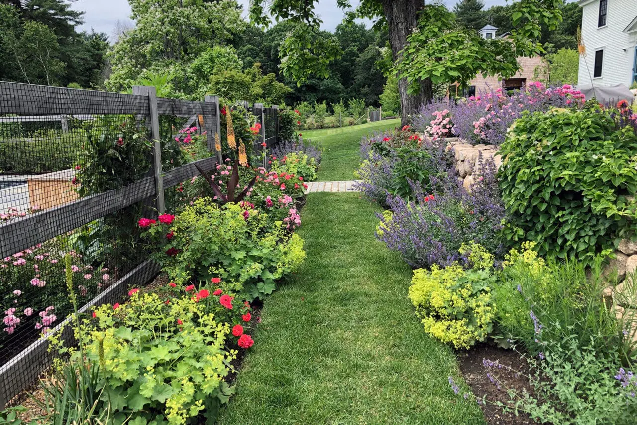 Carlisle, MA - A garden path runs beside layered perennials and fencing, guiding circulation while enhancing seasonal interest and enclosure.