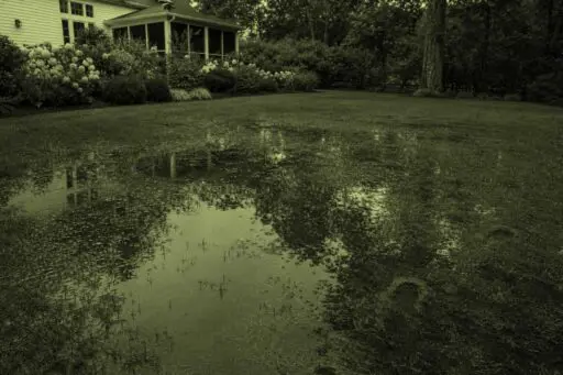 Sudbury, MA - Standing rainwater pools across a saturated backyard lawn after a storm.