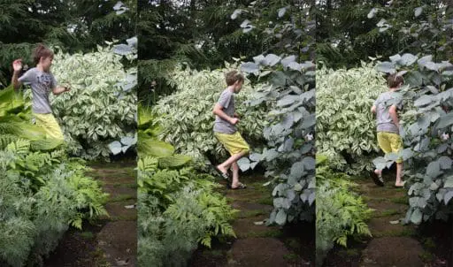 children's garden in Newton, MA