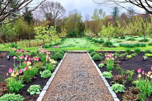 Carlisle, MA - A thoughtfully edged garden bed creates a crisp transition between the lawn and layered plantings, bringing structure and definition to the landscape.
