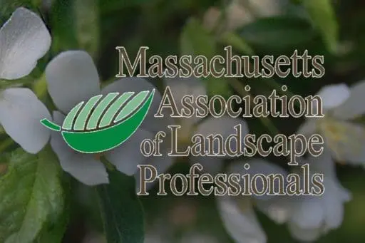 Congratulations to our Director of Maintenance, Miriam Hellweg - elected to the position of Director for The Massachusetts Association of Landscape Professionals.