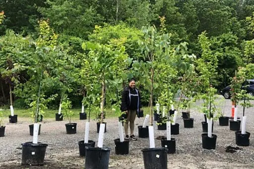 Boston Speak for the Trees Arbor Week