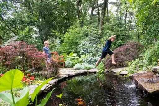 Newton, MA - A small backyard transformed into a richly planted family garden filled with texture, habitat, and space to explore.