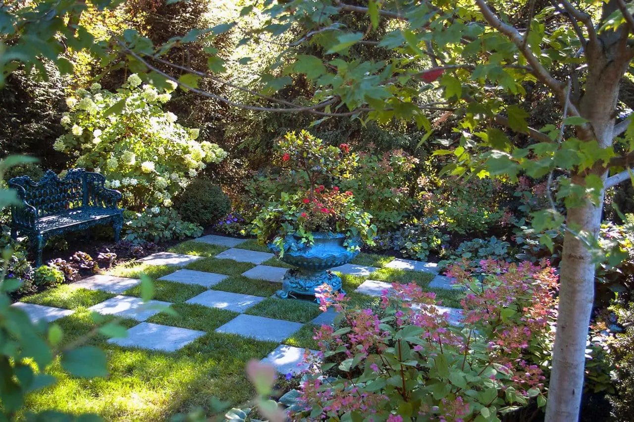 Belmont, MA - Vibrant hydrangeas provide summer interest to a checker board sitting area. Canadian Hemlock trees offer privacy while filtering the morning sun.