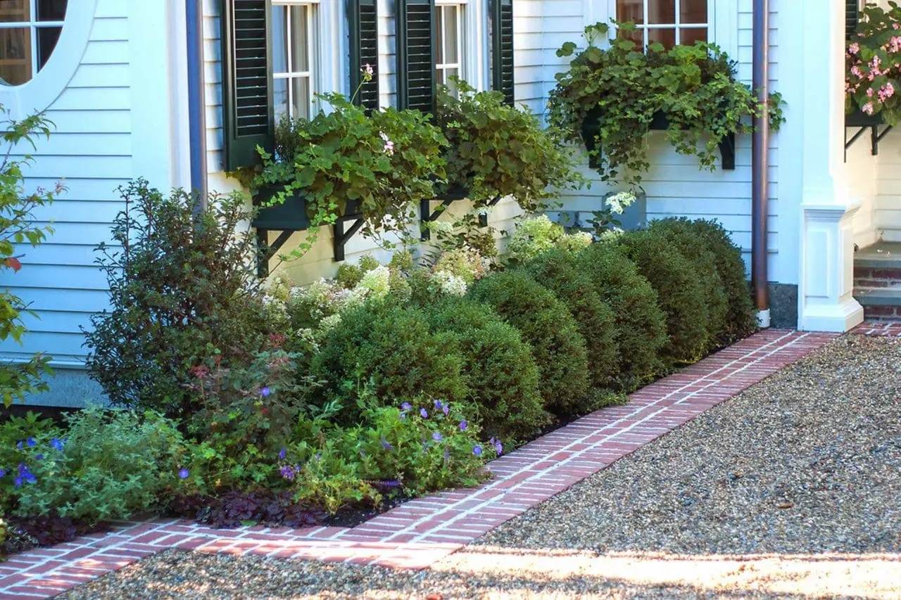 Belmont, MA - Brick and chip-seal parking court edged by boxwoods, hydrangea, and colorful perennials. Window boxes provide the opportunity for seasonal interest.