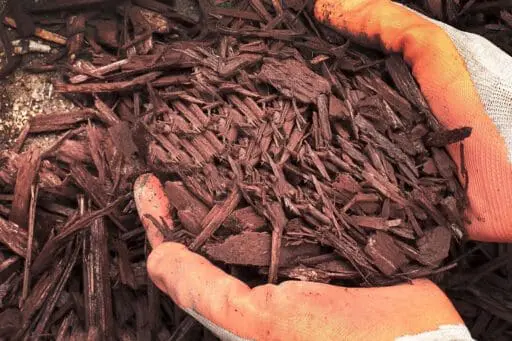 A rich layer of shredded bark mulch, showing the coarse texture and natural material used to protect and finish garden beds.