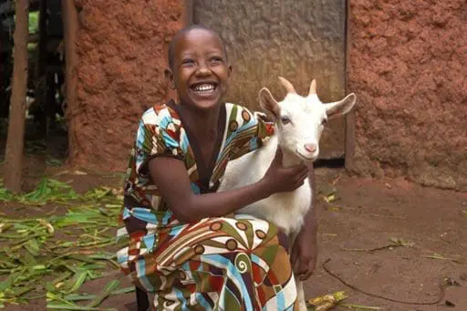 A Heifer International giving campaign highlights the impact of supporting families and communities through livestock, agriculture, and sustainable livelihoods.
