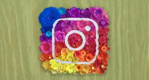 a Blade of Grass on instagram