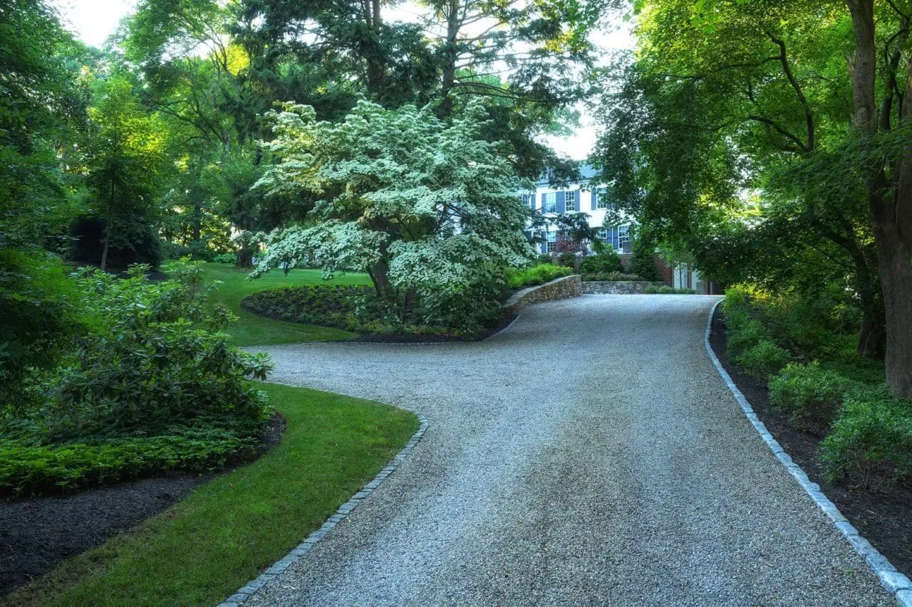 Lincoln, MA - A flowering Kousa Dogwood pulls in your attention as you make your way up the chipseal stone driveway.