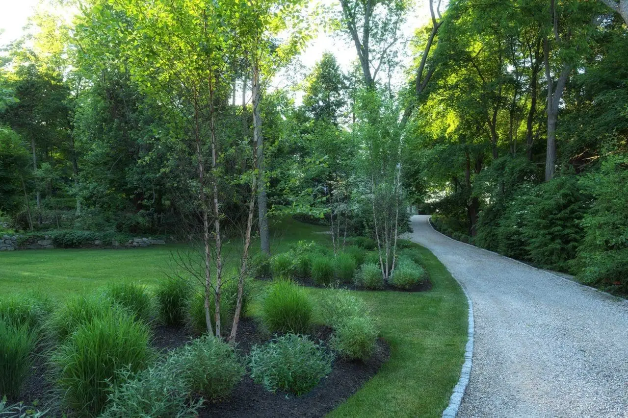 Lincoln, MA - Beds of River Birch and lush perennials and ornamentnal grasses usher you along the chipseal stone driveway entrance.