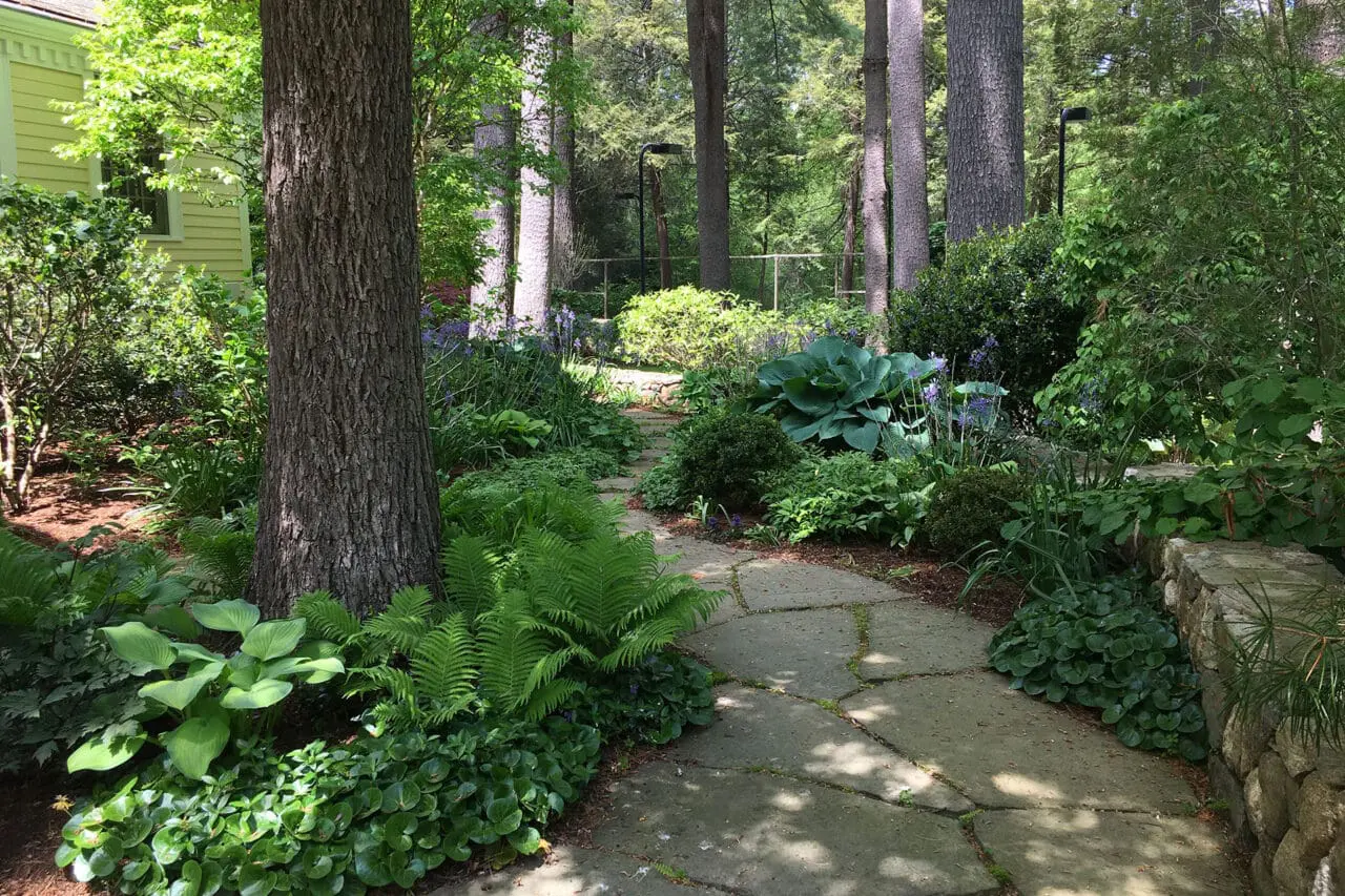 Irregular flagstone path set in shade planting creates a natural woodland walk, guiding movement while blending seamlessly into a relaxed, low-maintenance garden setting.