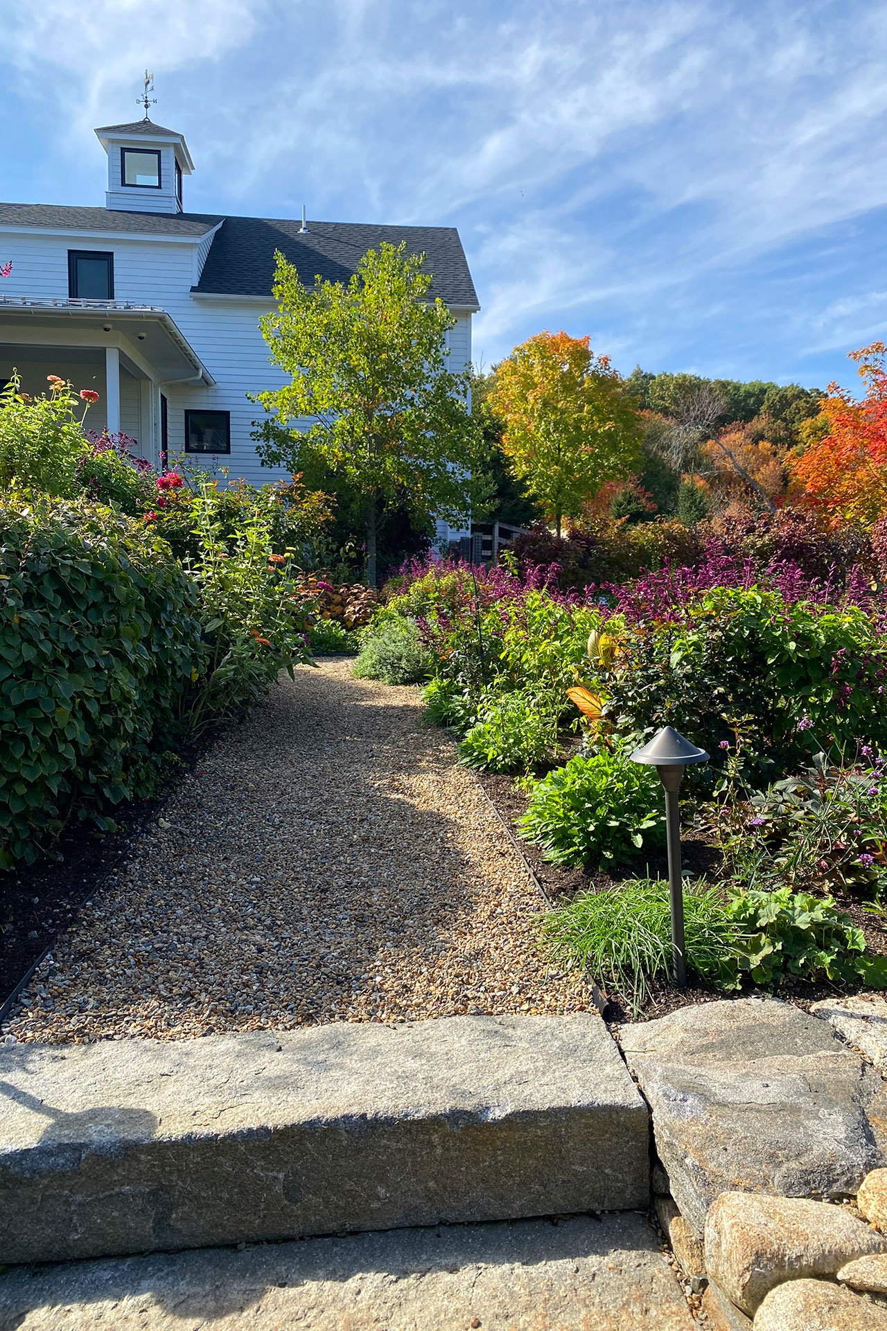Carlisle, MA - Seasonal plantings line a gravel path, showcasing year-round interest and the adaptability of the estate landscape.