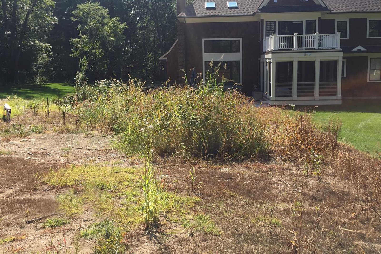 Dover backyard patio and lawn before renovation