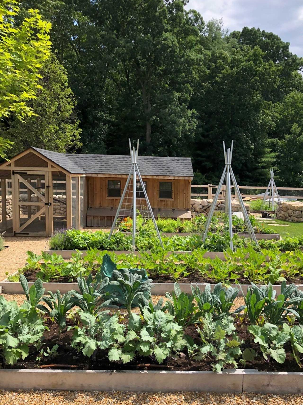 A productive kitchen garden combines raised vegetable beds, climbing supports, gravel paths, and a rustic garden shed within a beautifully organized edible landscape.