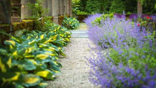 a low maintenance design stone path