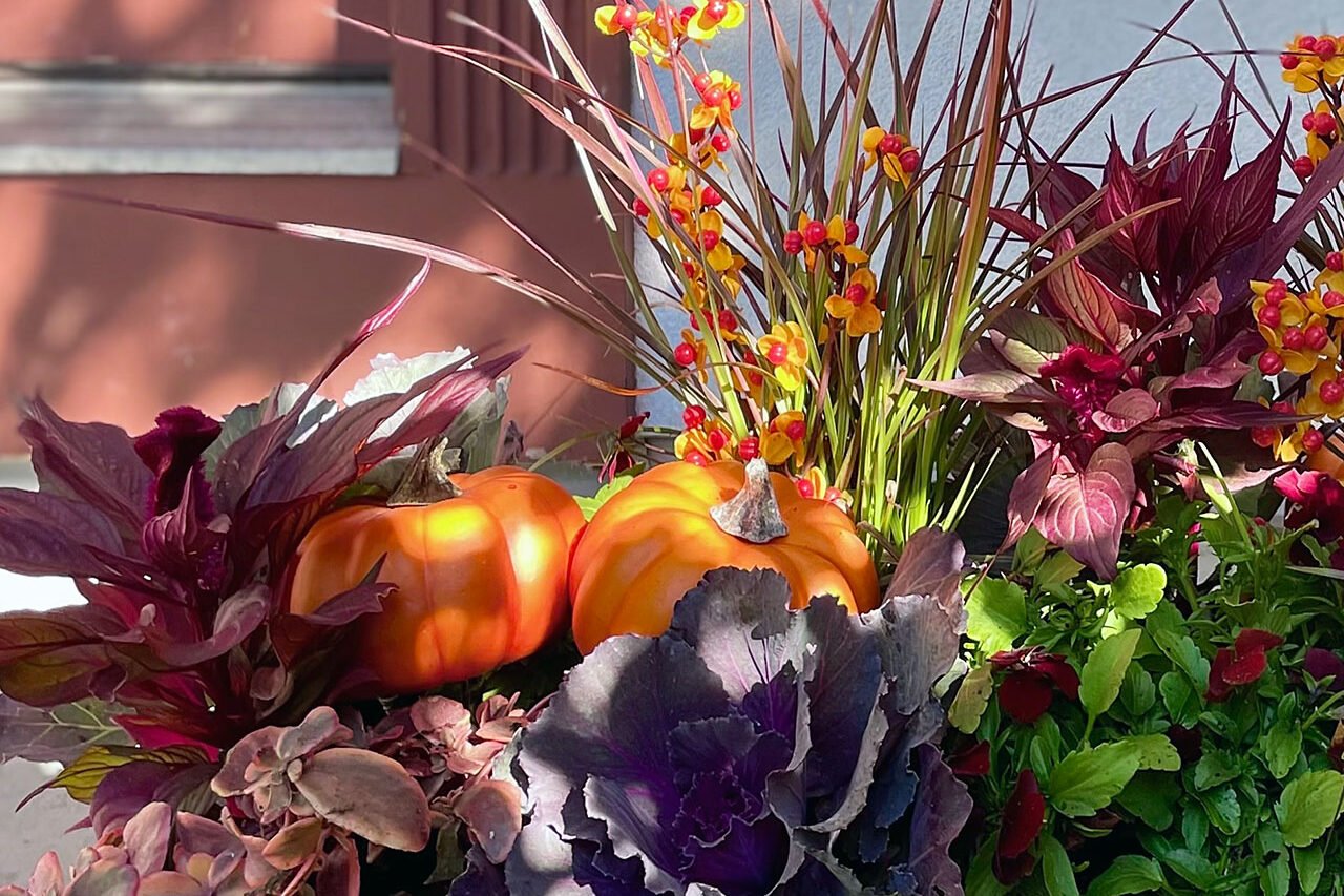 A fall window box layers ornamental cabbage, grasses, berries, pumpkins, and richly colored foliage for a full, textural seasonal display.