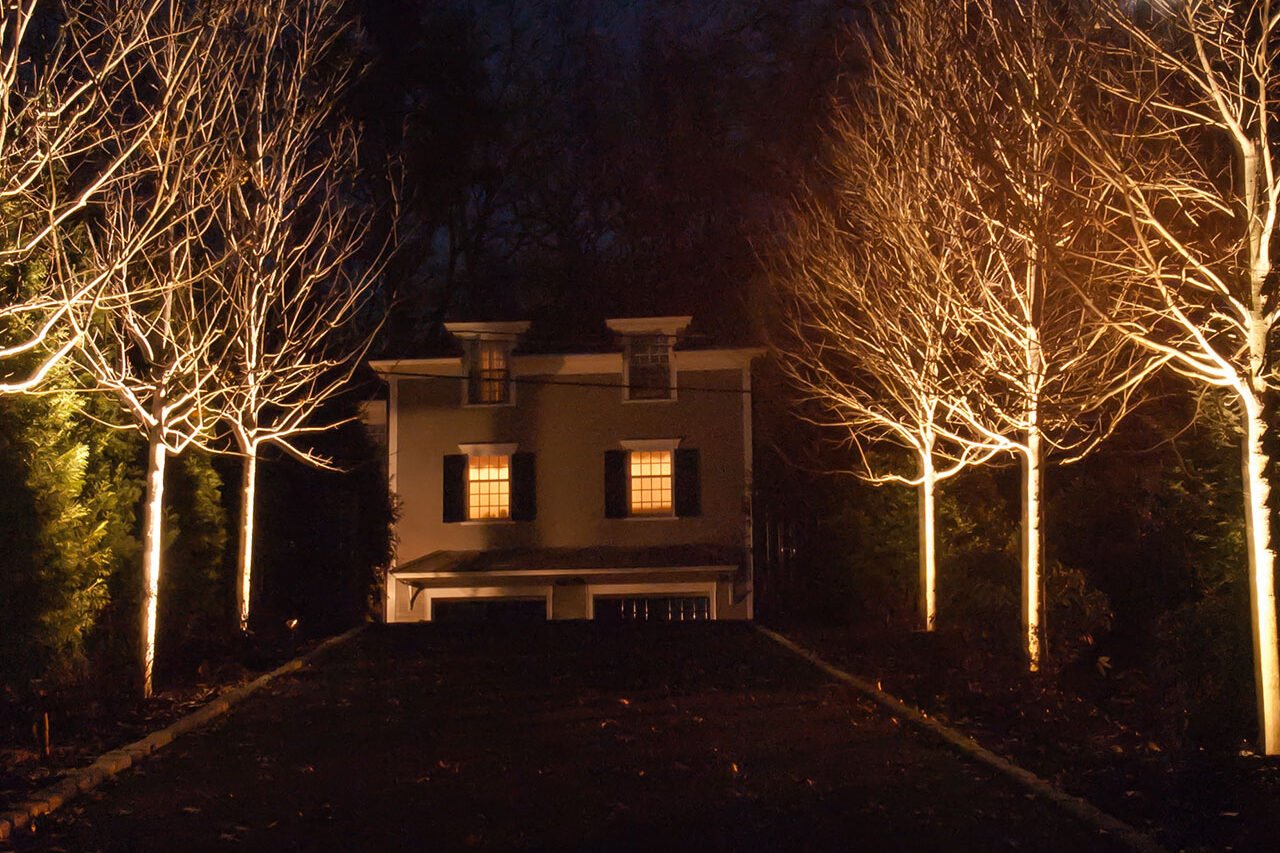 Driveway lighting improves safety and wayfinding while framing trees and planting with subtle illumination.