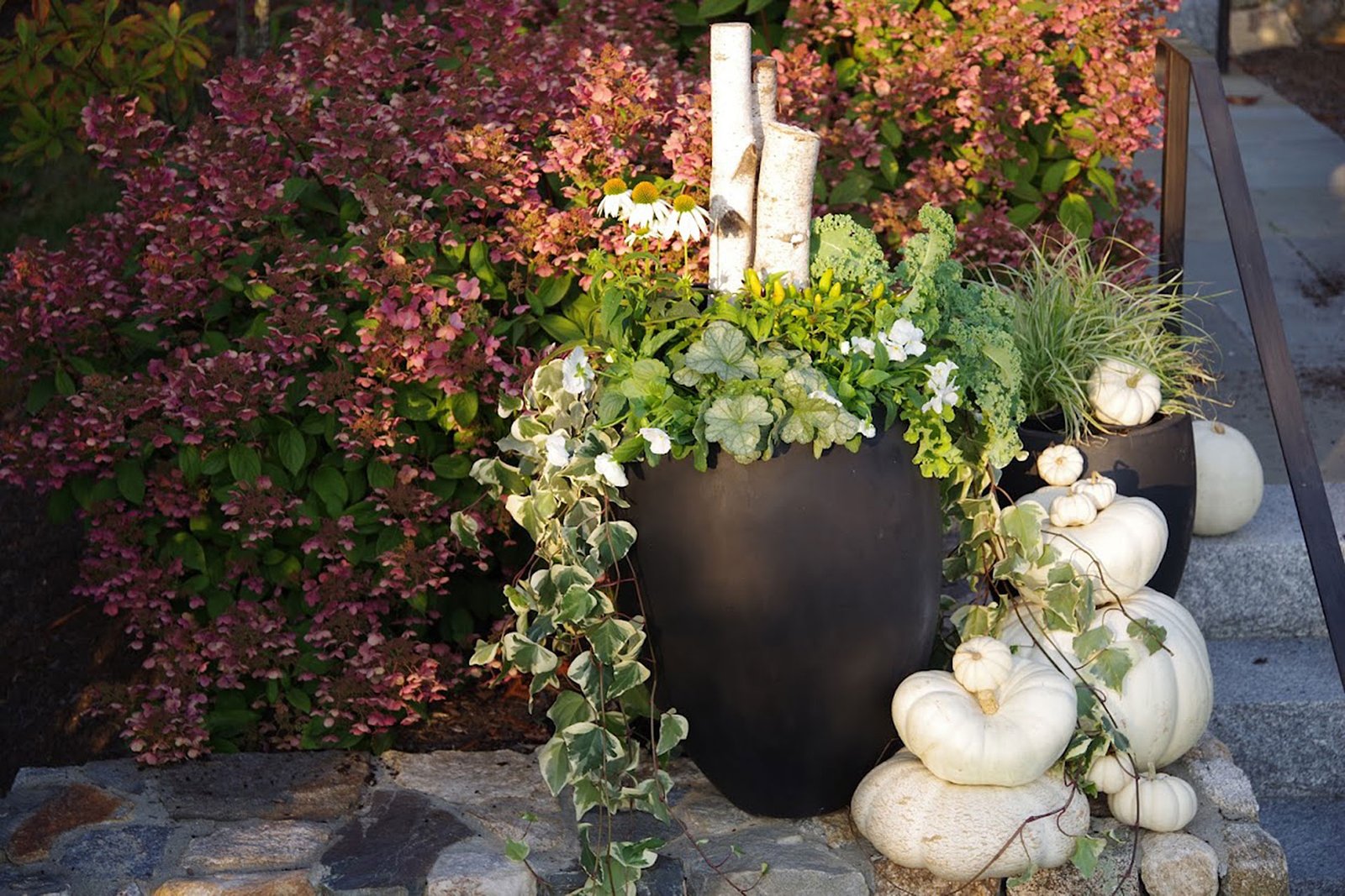 Brookline, MA - Black urn with white pumpkins creates elegant contrast at the entry, showing how refined fall displays can still feel seasonal and fresh.