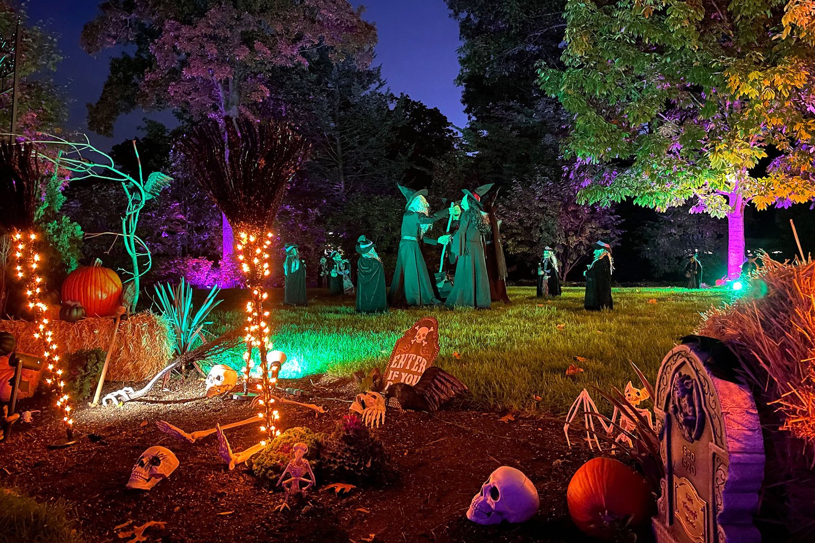 Dramatic Halloween lighting highlights witches and skeletons across the lawn, proving how lighting elevates spooky displays and adds nighttime impact to fall landscapes.