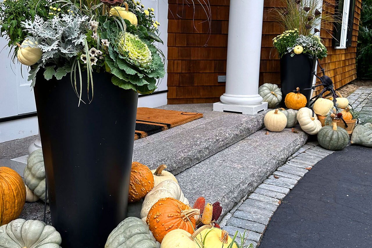 Sleek black entry planters anchor the doorway, mixing ornamental grass, kale, and pumpkins to frame the entrance with bold contrast and adaptable autumn style.