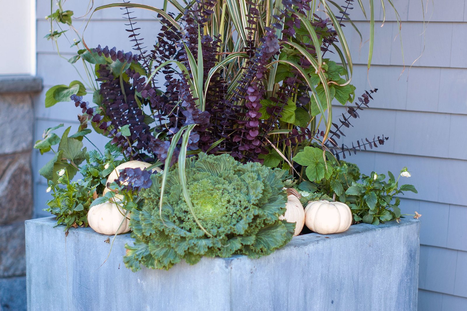 A stone cube planter with purple foliage and white pumpkins creates a modern entry display, blending clean lines with playful fall contrast.