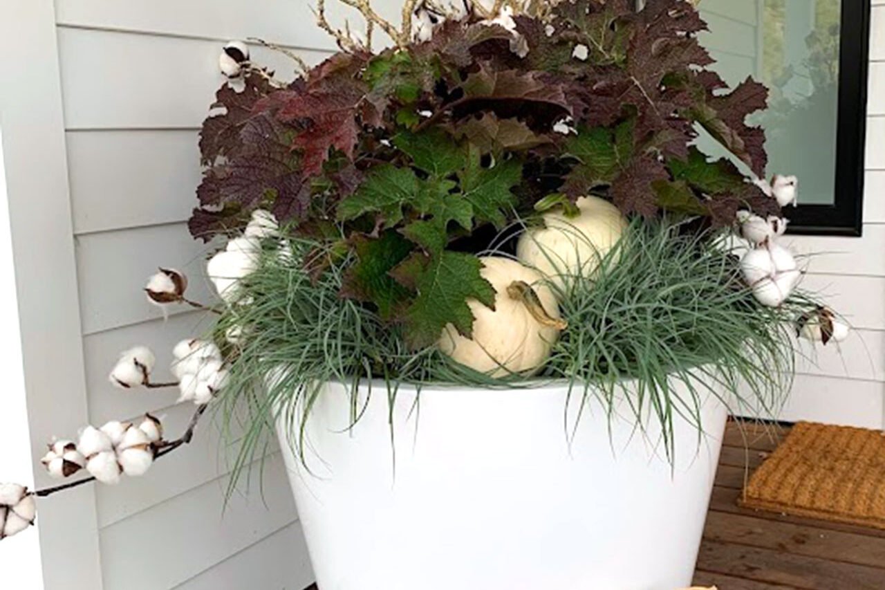A white modern porch planter layered with cotton stems, ornamental grass, and white pumpkins creates a clean, sculptural fall display that adds seasonal texture and flexible, understated autumn style to the entry.