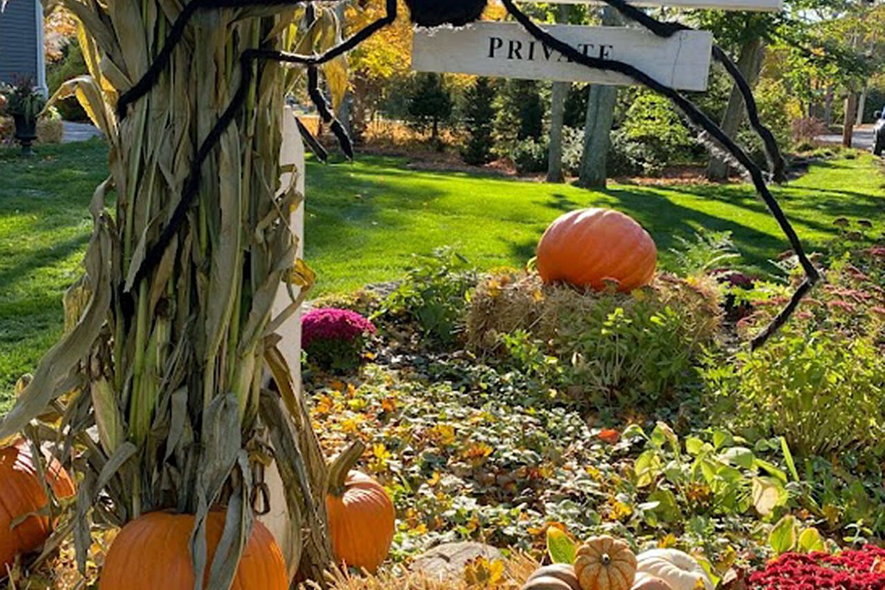 A porch planter topped with a witch hat and purple foliage adds playful Halloween personality, blending ornamental cabbage with themed accents.