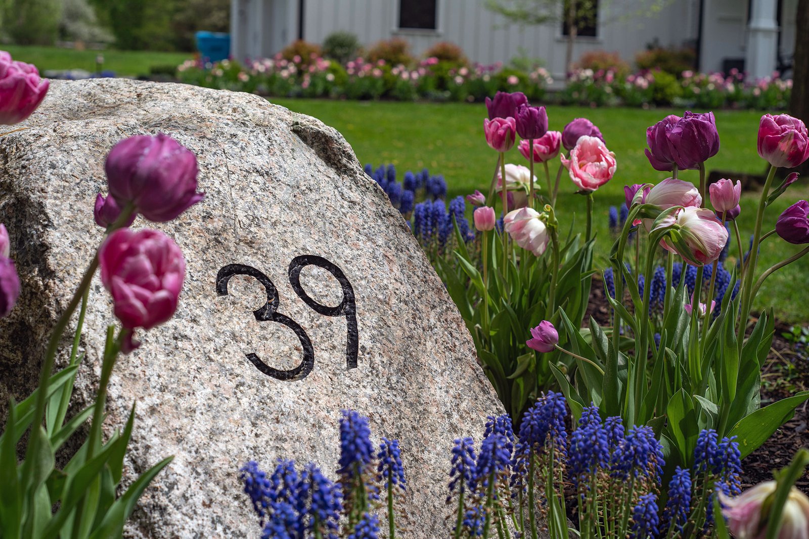 A granite address stone serves as both landscape marker and sculptural element, grounding the entry experience with permanence and craftsmanship.
