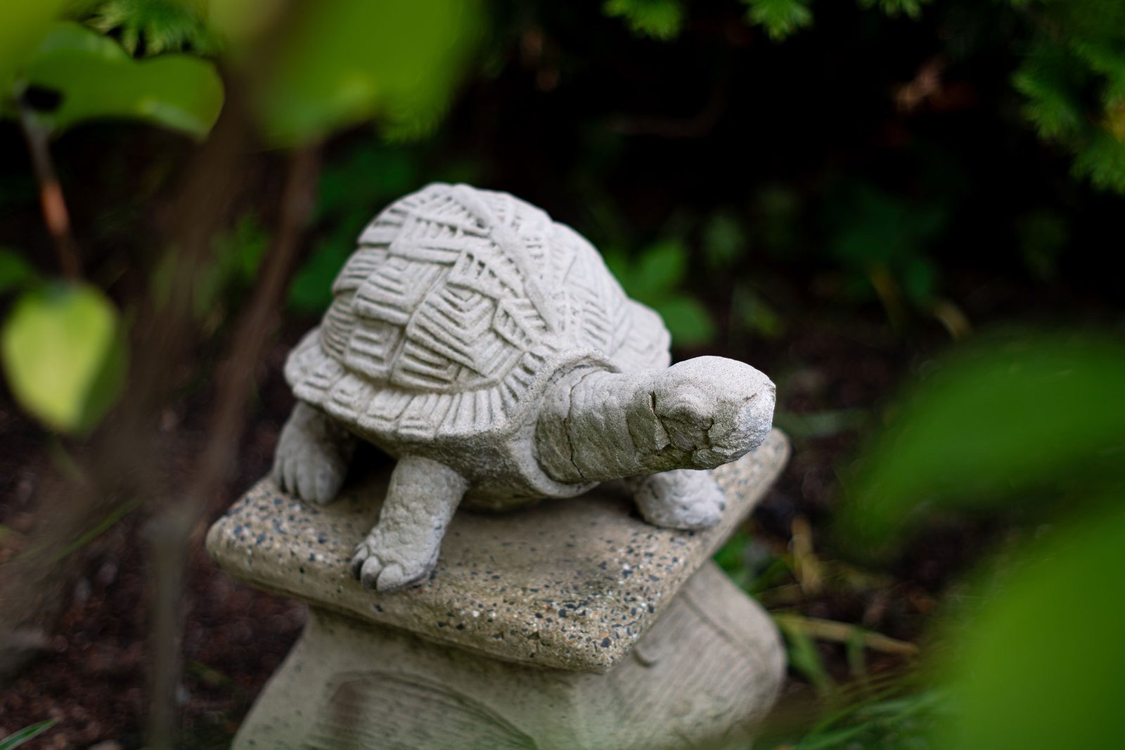 A classic stone turtle sculpture in Concord, MA offers a subtle garden accent, its weathered surface and low profile complementing naturalistic planting and woodland edges.