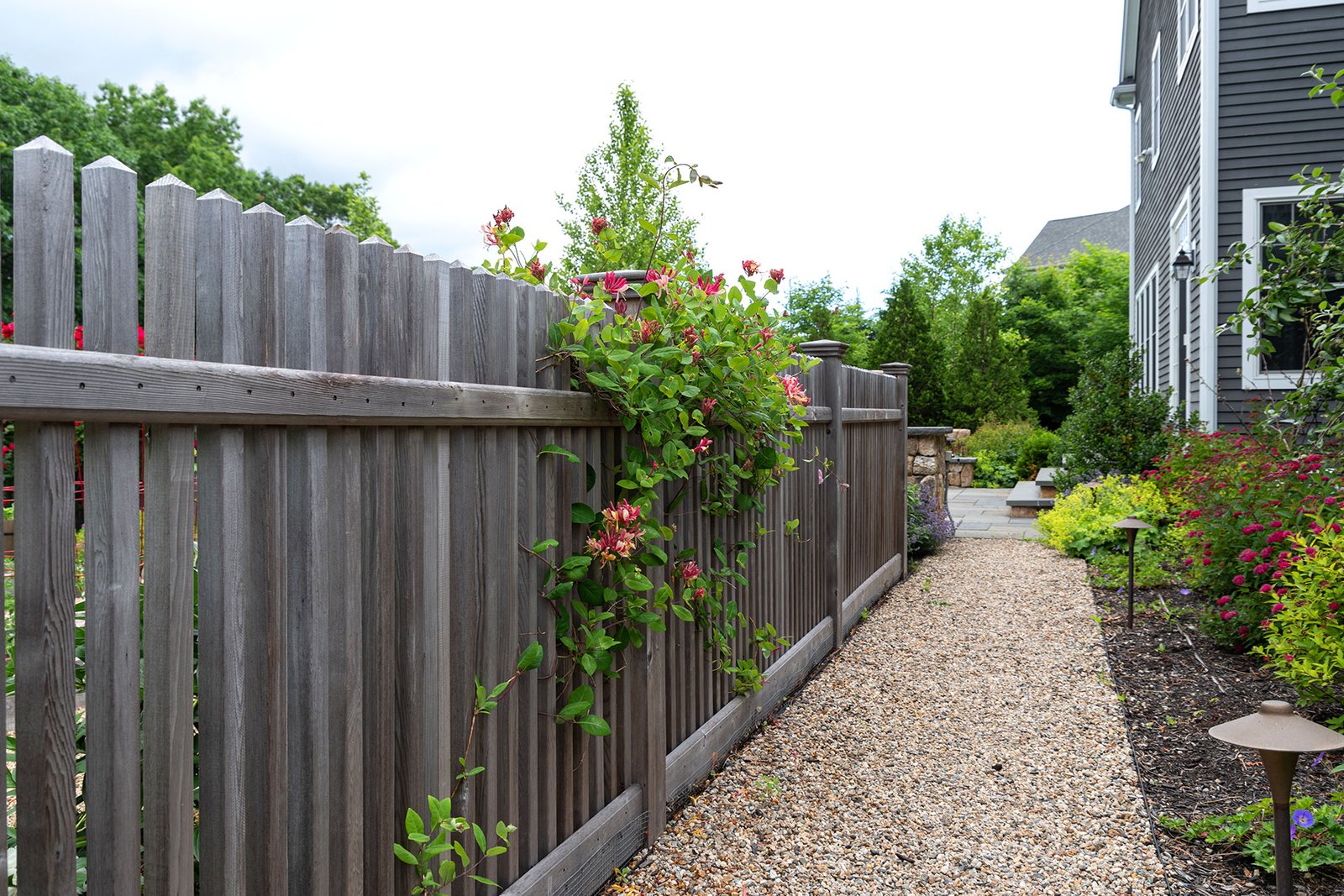 A weathered cedar privacy fence lines this Wellesley garden path, screening views while maintaining a natural, informal feel.