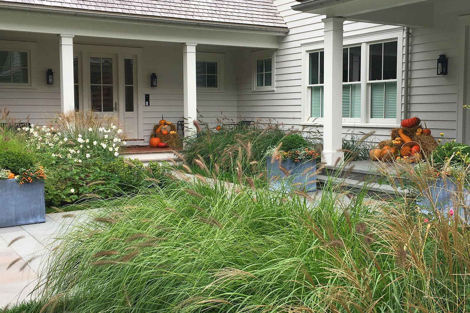 Ornamental grasses anchor this entry garden with upright form and soft texture, adding seasonal structure and movement while scaling the foundation planting without overwhelming the home.