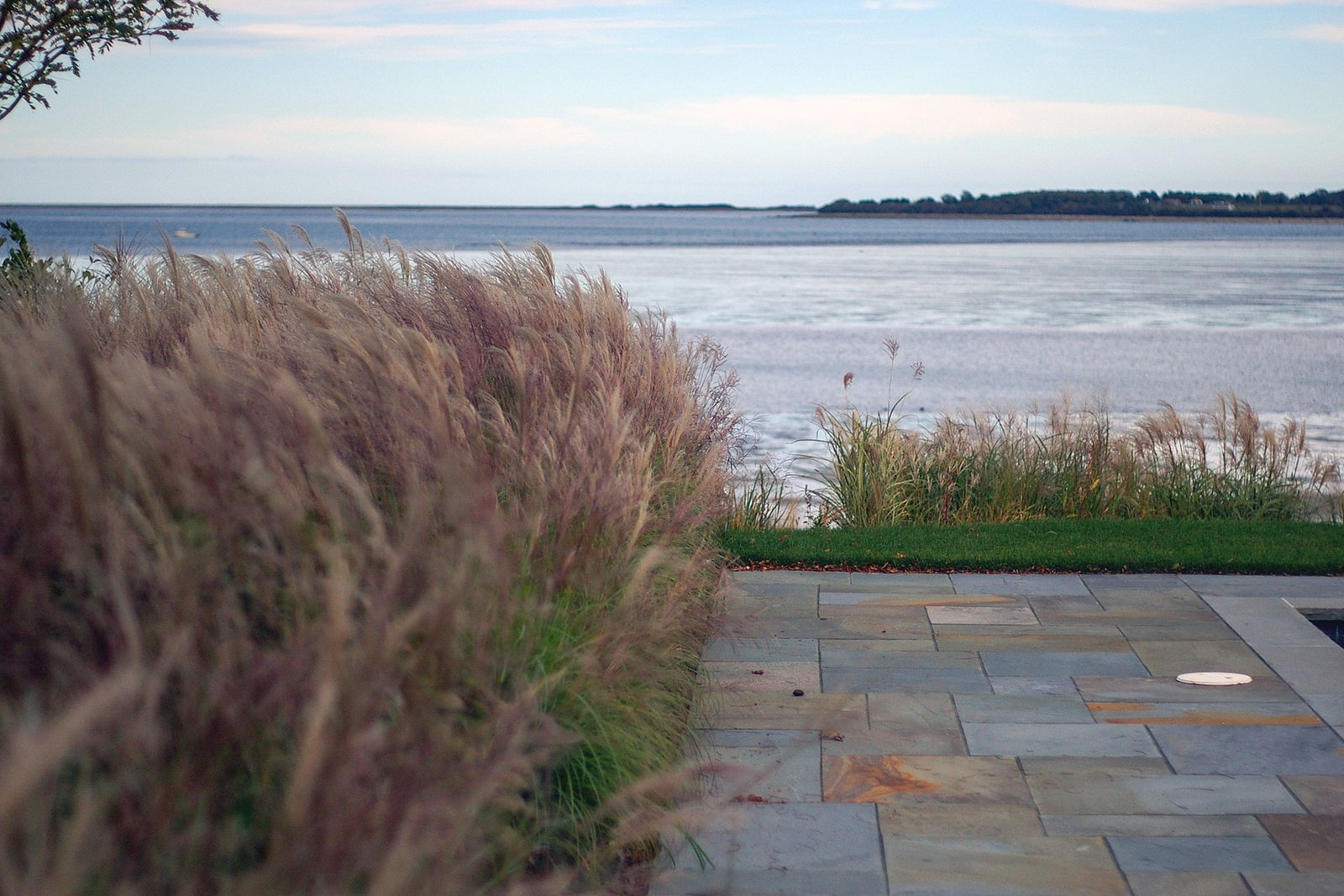 Layered ornamental grasses are planted along the foundation to buffer ocean exposure, adding soft texture, movement, and seasonal color while protecting the home without blocking views.