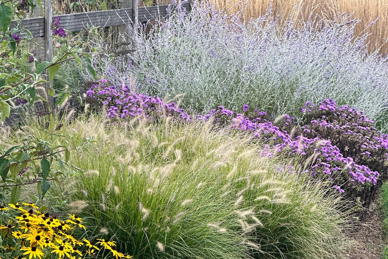 Mixed ornamental grasses and perennials layer texture and color in this Lexington garden, keeping planting beds visually rich beyond peak bloom season.