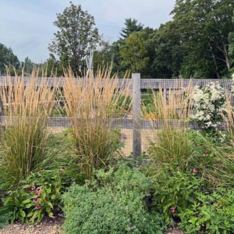 Layered ornamental grasses blend with perennials in this Lincoln garden, creating texture, depth, and a natural flow that evolves beautifully through the seasons.
