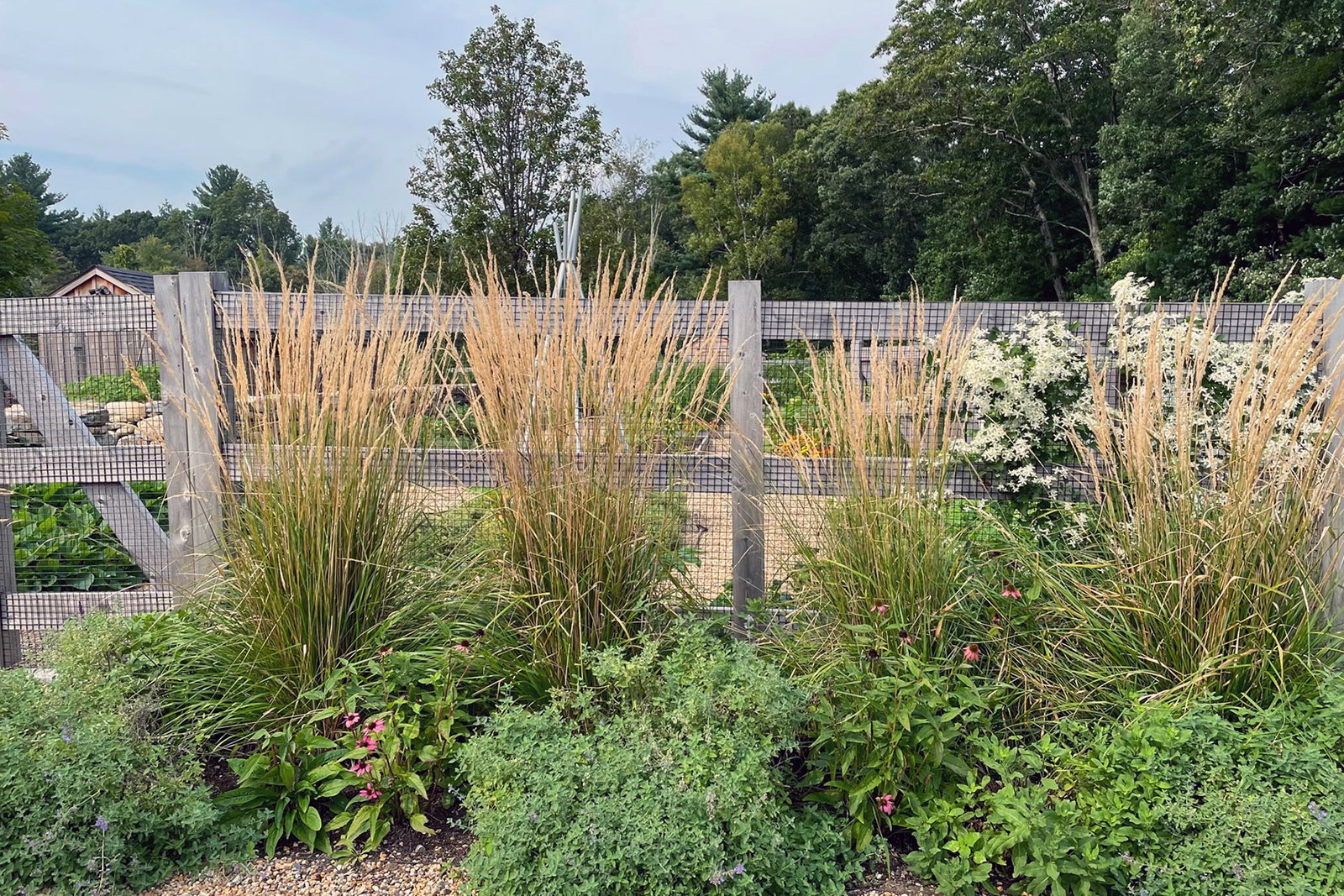 Layered ornamental grasses blend with perennials in this Lincoln garden, creating texture, depth, and a natural flow that evolves beautifully through the seasons.