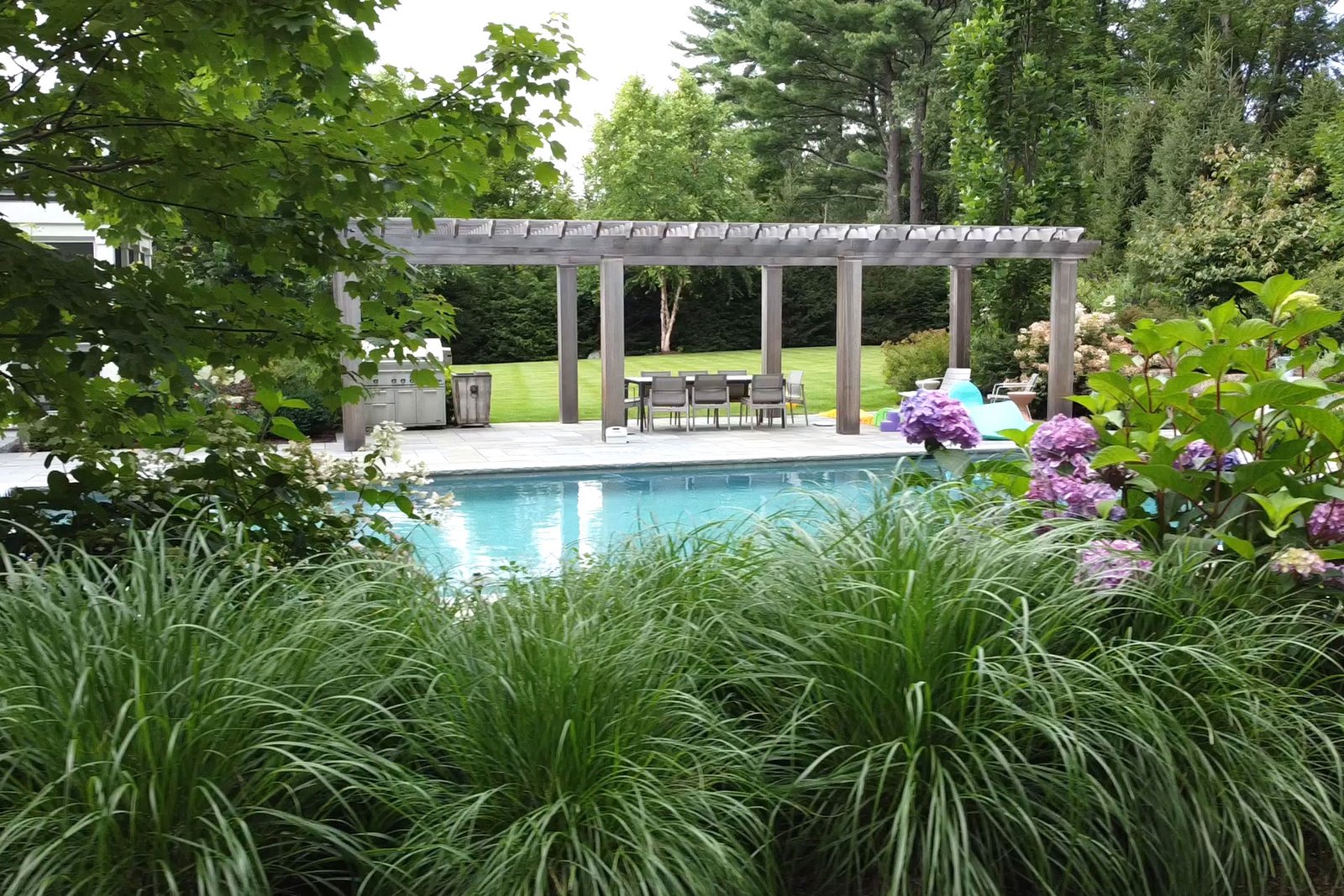 Soft green ornamental grasses edge this pool in Wellesley, cooling hard surfaces, improving safety, and adding movement without blocking views or requiring heavy upkeep.