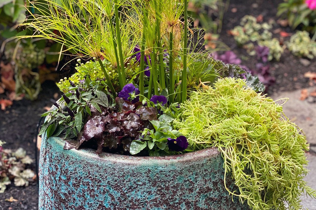A glazed ceramic round planter features mixed spring foliage, highlighting texture and color in a compact, easily refreshed container.