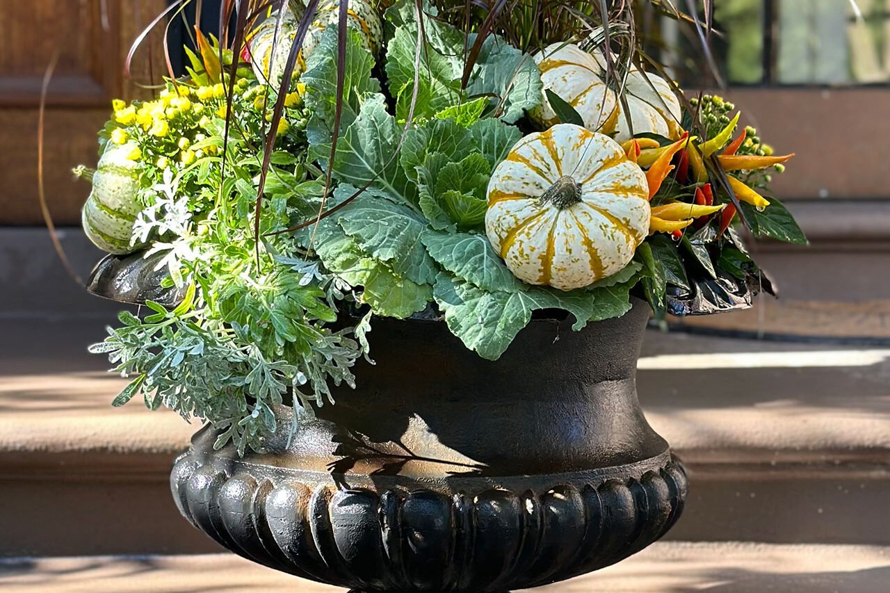 Concrete planters filled with mixed perennials are softly lit on a deck, adding evening interest while keeping maintenance manageable.