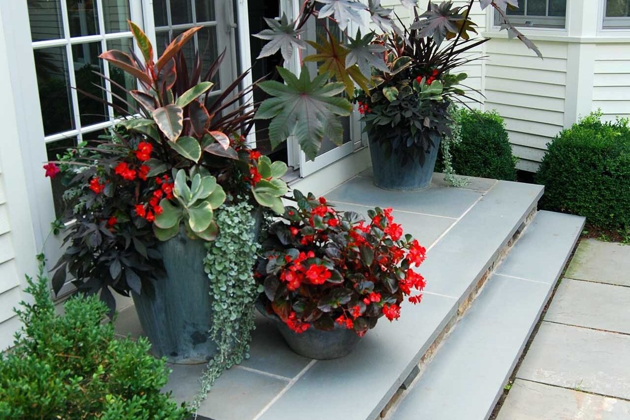 Architectural containers at a patio entry feature mixed annuals, introducing summer color and movement while allowing quick seasonal updates.