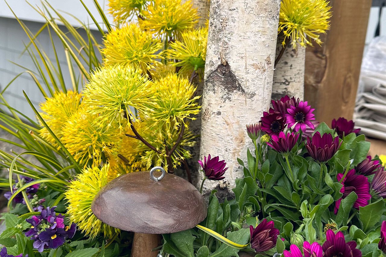 Birch logs and ornamental spring flowers are arranged in a seasonal container that bridges winter and spring and is easy to update as conditions change.
