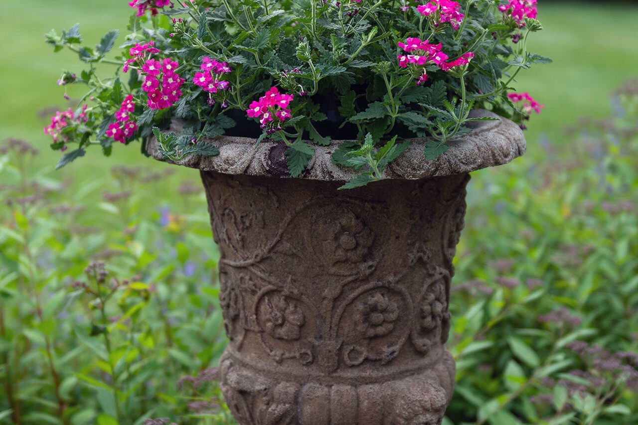 A traditional metal urn showcases pink summer annuals, adding soft color and texture while maintaining a timeless form suitable for seasonal replanting.