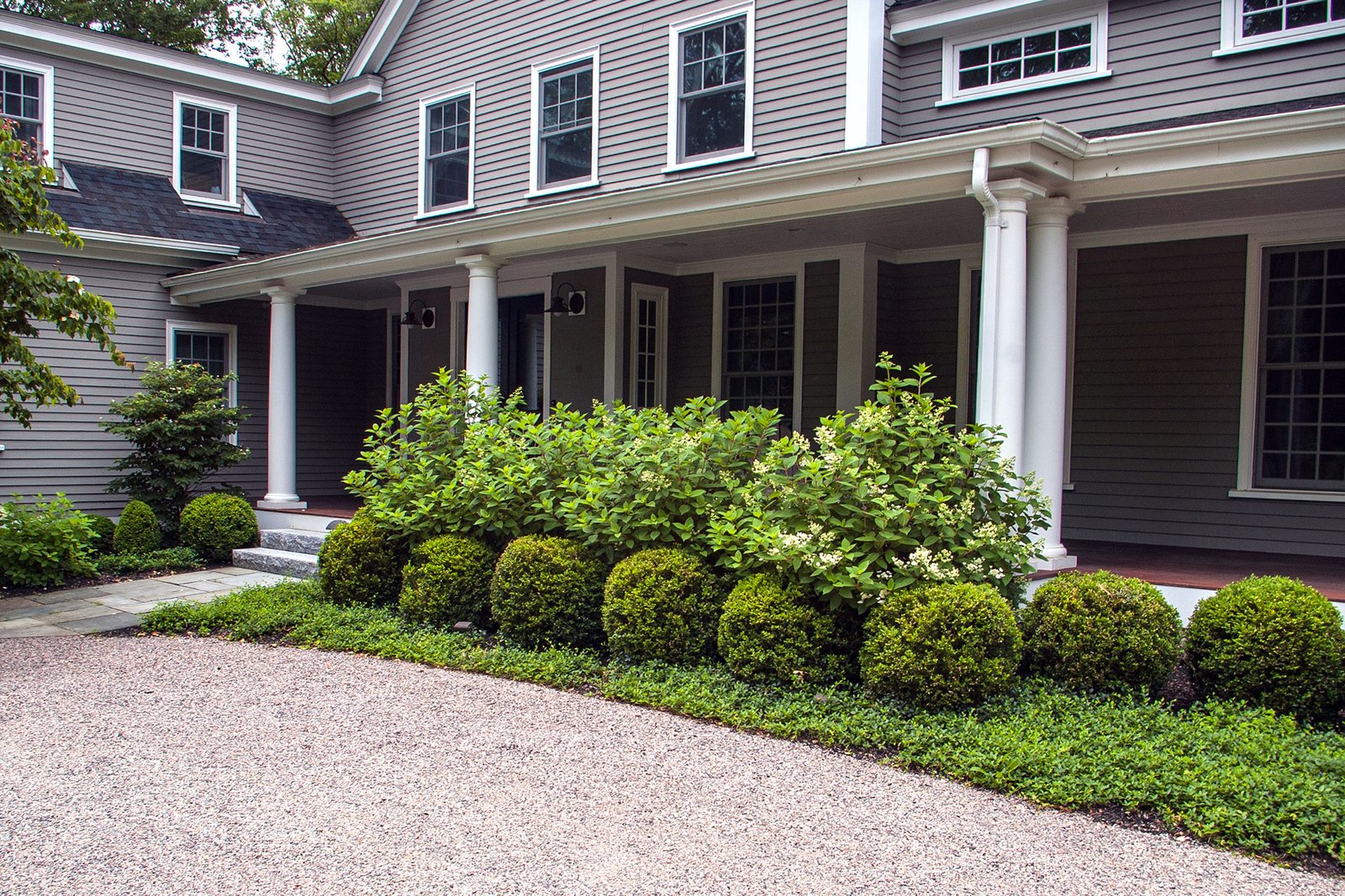 A neat row of boxwood lines this gravel drive, providing evergreen structure, clear edges, and a polished transition between driveway and planting.