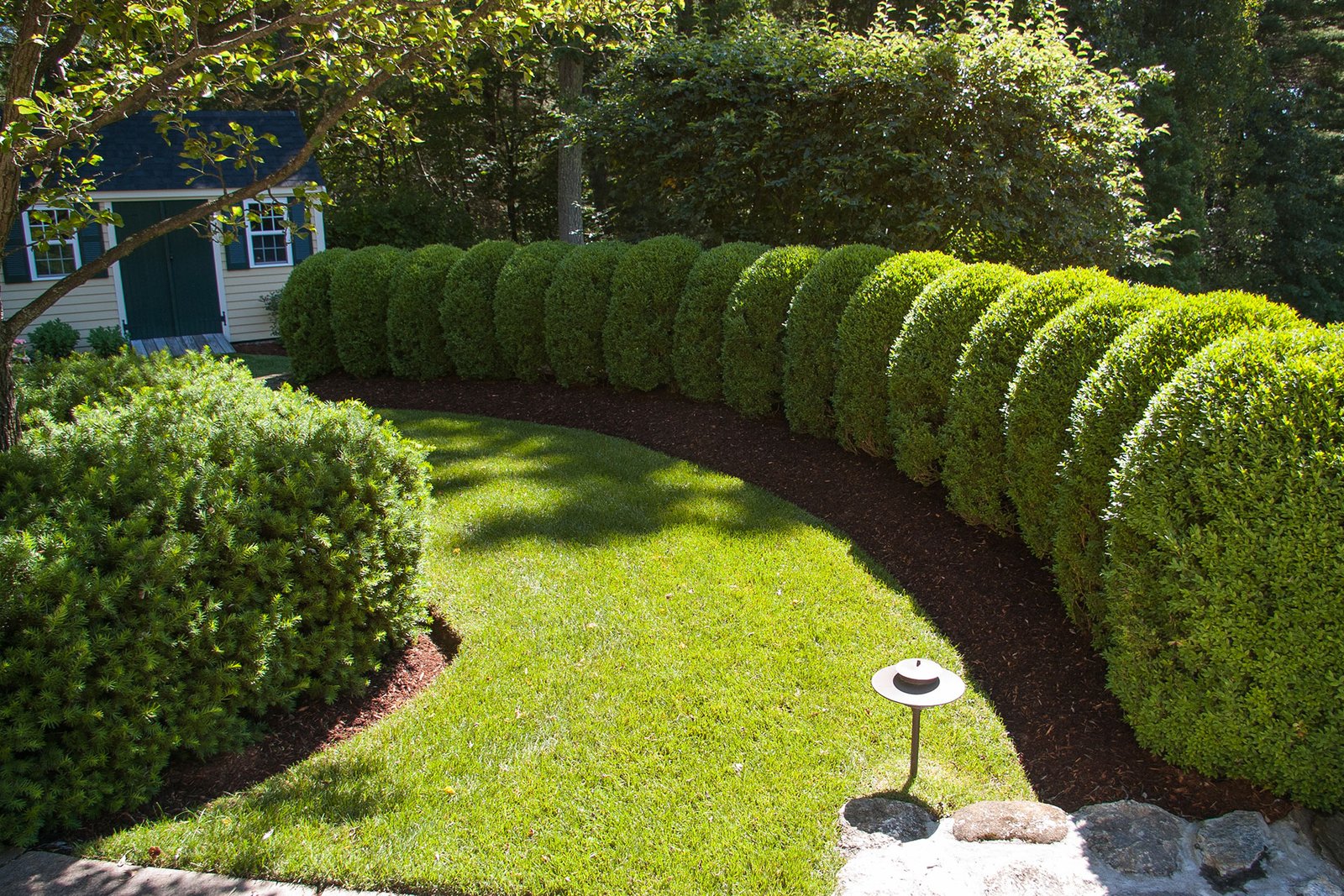 A curved boxwood hedge follows the lawn edge, creating a smooth green boundary that enhances privacy while reinforcing the landscape’s flowing geometry.