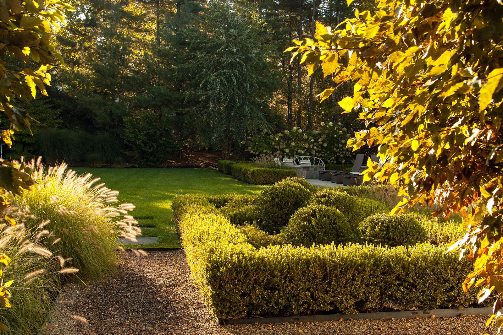 A clipped boxwood hedge lines this gravel path, creating crisp edges and autumn contrast while directing movement through the garden with timeless formality.