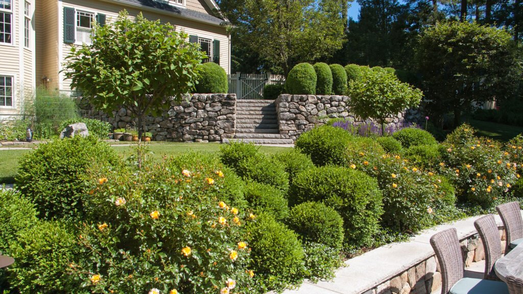 Formal boxwood hedges flank stone steps in this front garden, reinforcing symmetry, guiding circulation, and adding evergreen structure to the entry sequence.